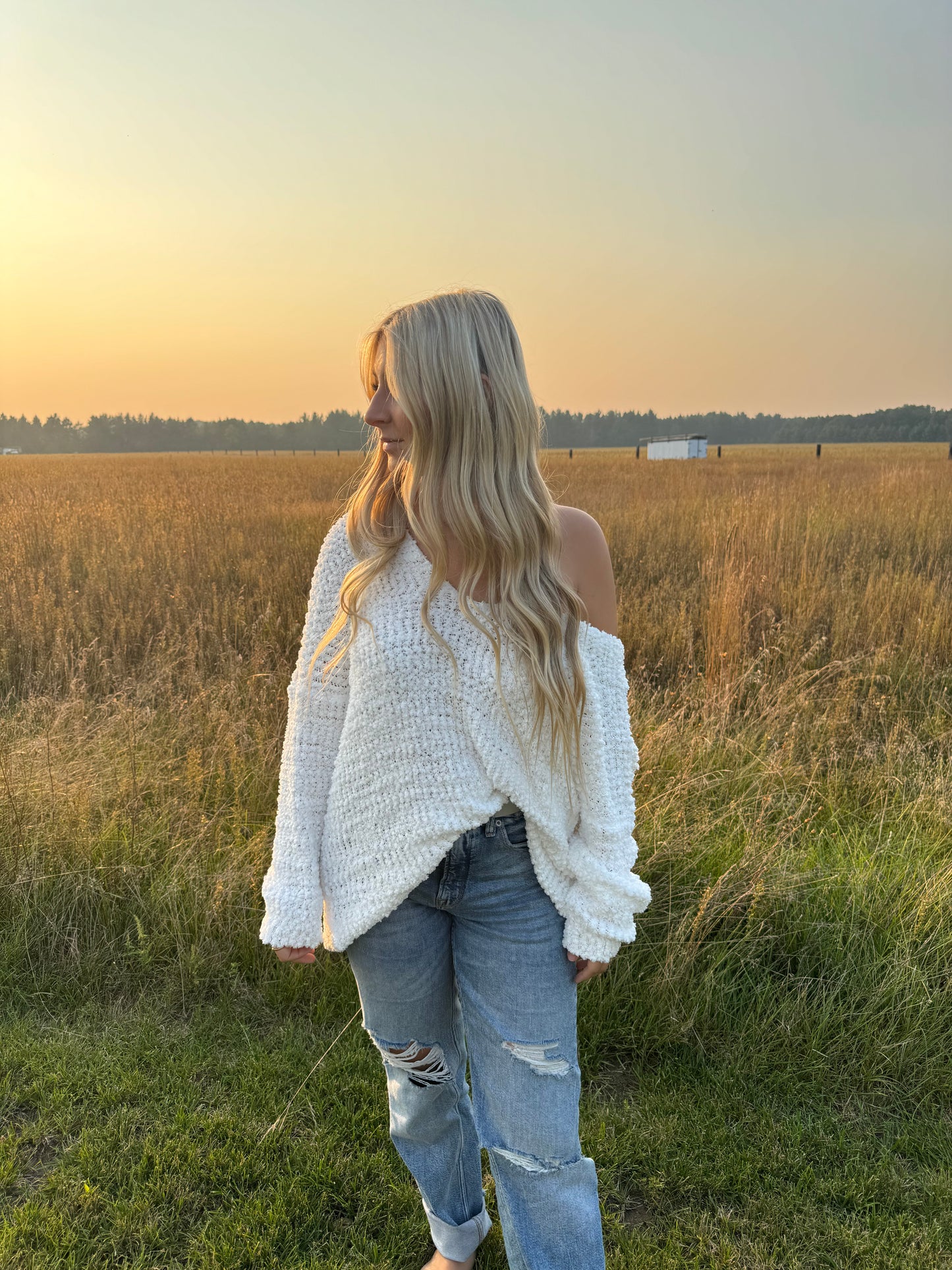 Angel Wings Sweater